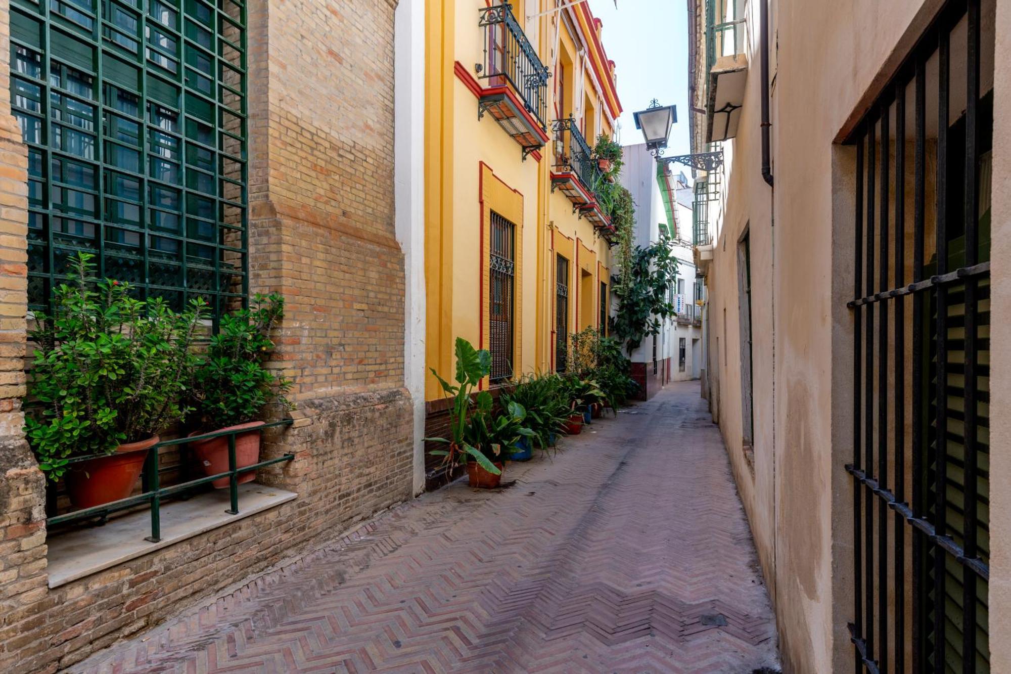 Rc Sevilla Centro Historico Catedraljuderia Exterior photo